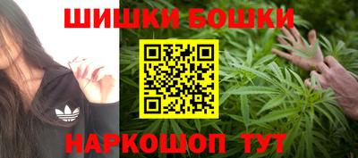 дживик Славгород