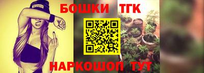 таблы Сланцы