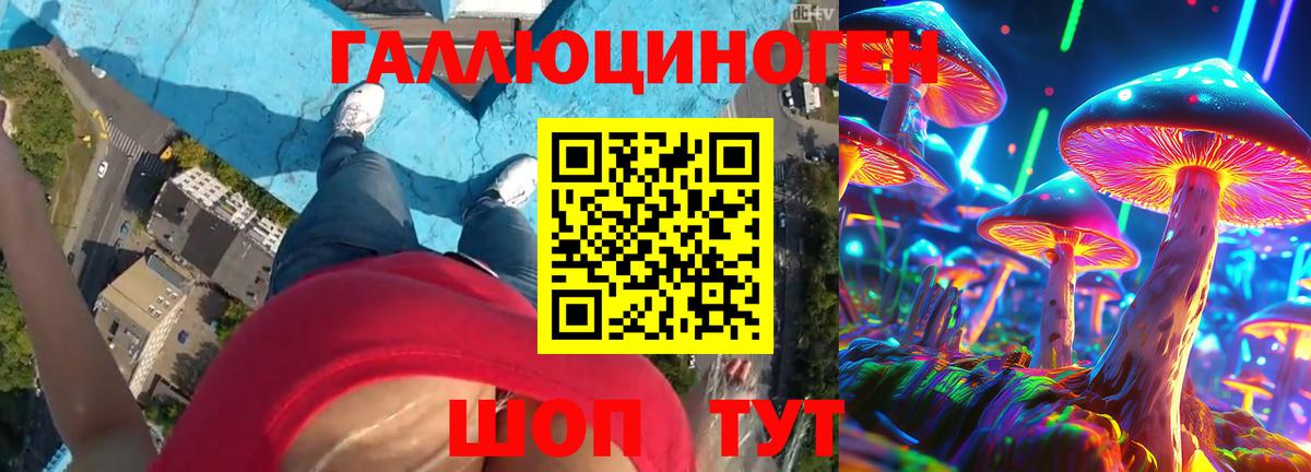 Галлюциногенные грибы Psilocybe  Вход с VPN  Псилоцибиновые грибы прущие грибы  Тихорецк 